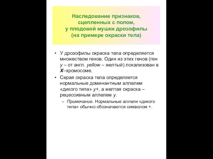 Наследование признаков, сцепленных с полом, у плодовой мушки дрозофилы (на