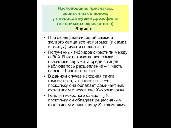 Наследование признаков, сцепленных с полом, у плодовой мушки дрозофилы (на