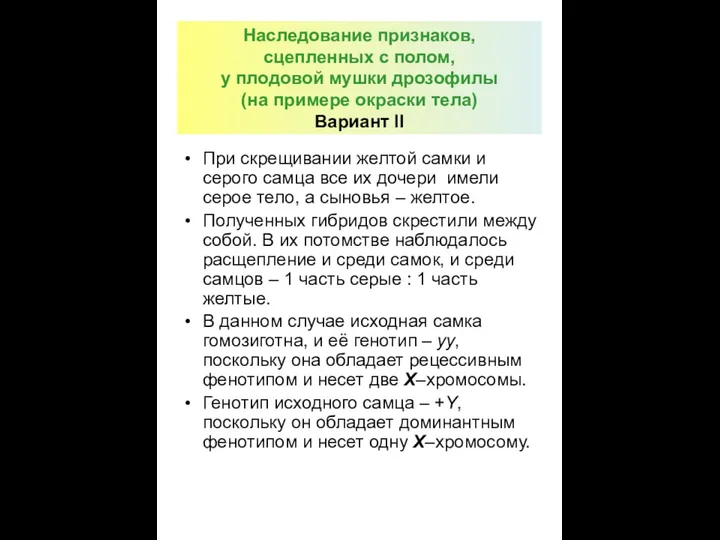 Наследование признаков, сцепленных с полом, у плодовой мушки дрозофилы (на