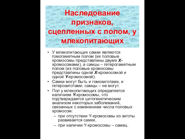 Наследование признаков, сцепленных с полом, у млекопитающих У млекопитающих самки