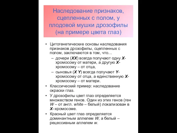 Наследование признаков, сцепленных с полом, у плодовой мушки дрозофилы (на