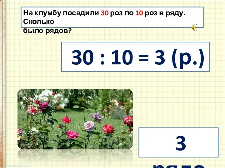 На клумбу посадили 30 роз по 10 роз в ряду.