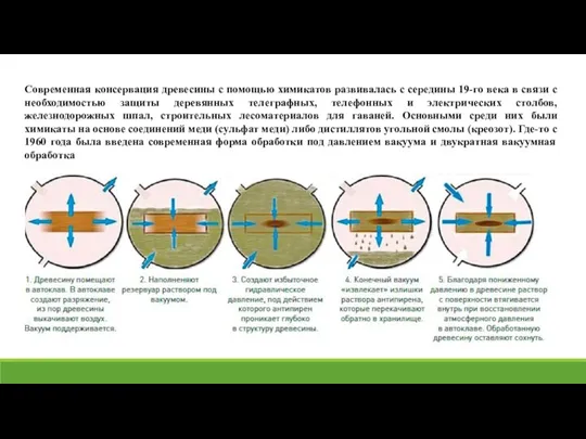 Современная консервация древесины с помощью химикатов развивалась с середины 19-го