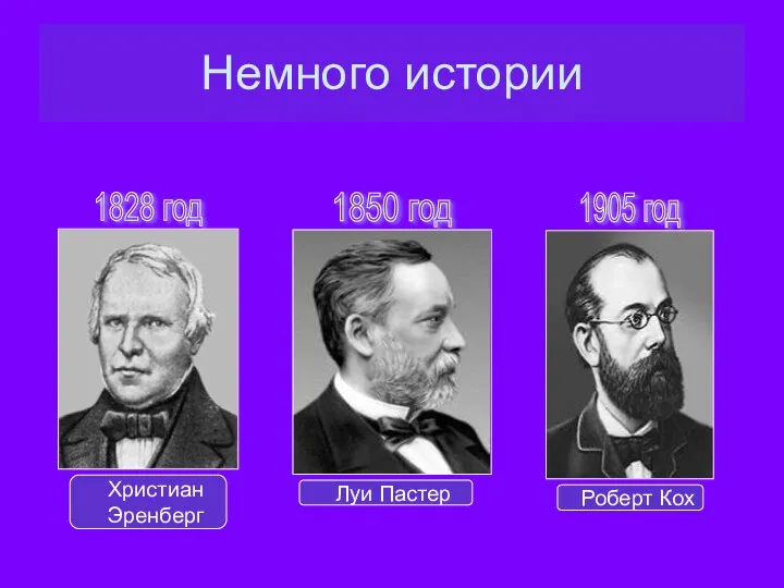 Немного истории