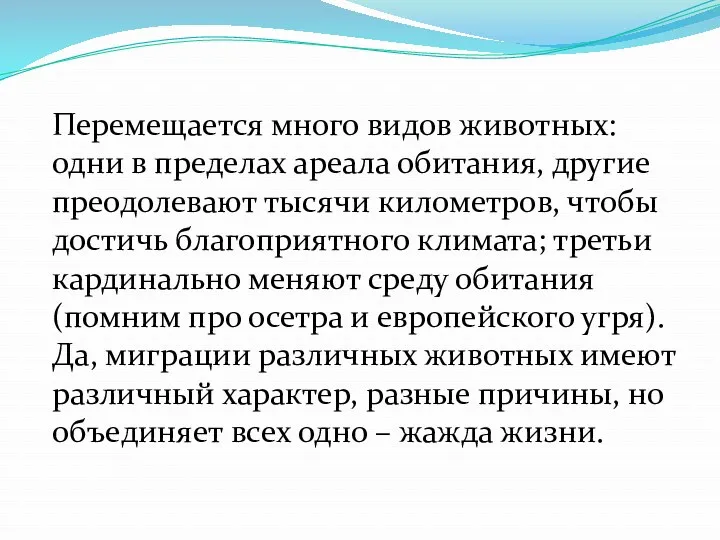 Перемещается много видов животных: одни в пределах ареала обитания, другие