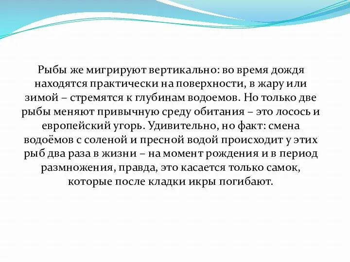 Рыбы же мигрируют вертикально: во время дождя находятся практически на