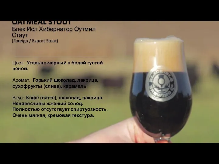 BLACK ISLE HIBERNATOR OATMEAL STOUT Блек Исл Хибернатор Оутмил Стаут