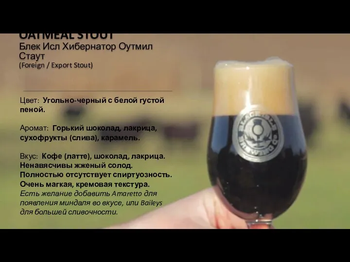 BLACK ISLE HIBERNATOR OATMEAL STOUT Блек Исл Хибернатор Оутмил Стаут