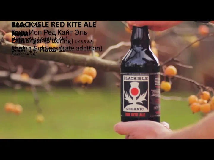 ABV: 4.2% BLACK ISLE RED KITE ALE Блек Исл Ред