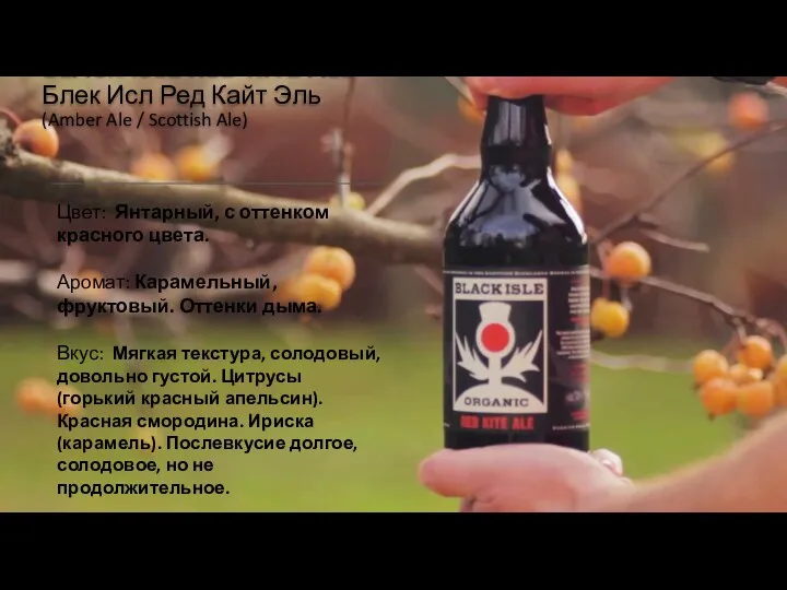 BLACK ISLE RED KITE ALE Блек Исл Ред Кайт Эль