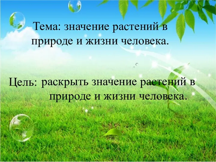 Тема: значение растений в природе и жизни человека. раскрыть значение