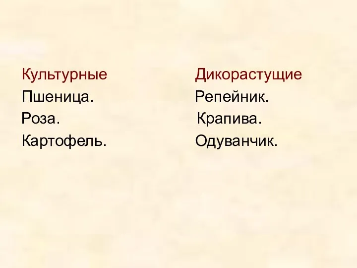 Культурные Дикорастущие Пшеница. Репейник. Роза. Крапива. Картофель. Одуванчик.