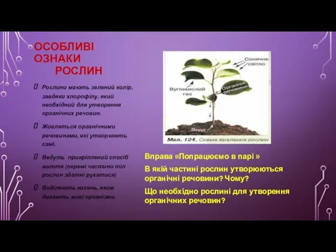 ОСОБЛИВІ ОЗНАКИ РОСЛИН Вправа «Попрацюємо в парі » В якій