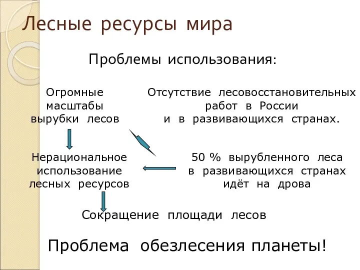 Лесные ресурсы мира Проблемы использования: Сокращение площади лесов Нерациональное использование