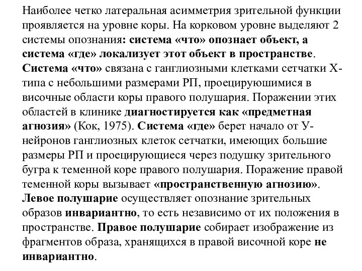 Наиболее четко латеральная асимметрия зрительной функции проявляется на уровне коры. На корковом уровне