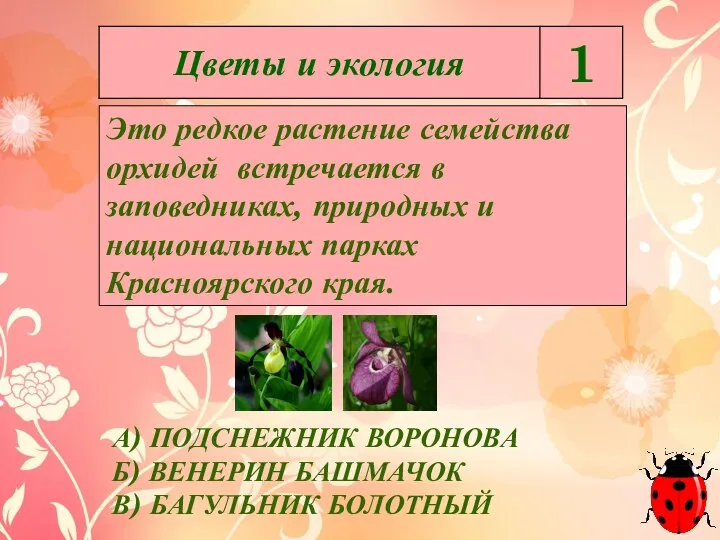 Это редкое растение семейства орхидей встречается в заповедниках, природных и