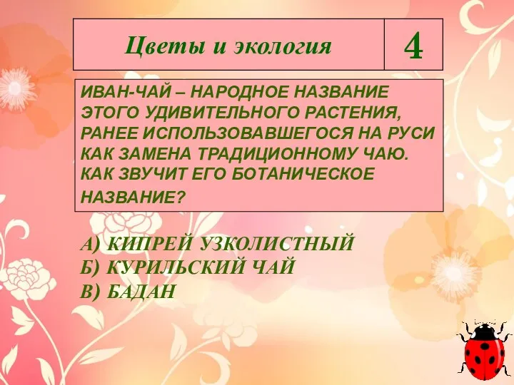 ИВАН-ЧАЙ – НАРОДНОЕ НАЗВАНИЕ ЭТОГО УДИВИТЕЛЬНОГО РАСТЕНИЯ, РАНЕЕ ИСПОЛЬЗОВАВШЕГОСЯ НА