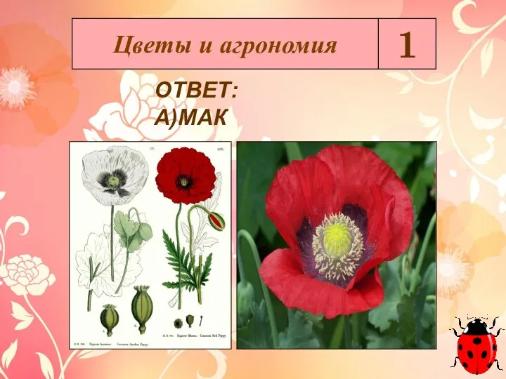 ОТВЕТ: А)МАК