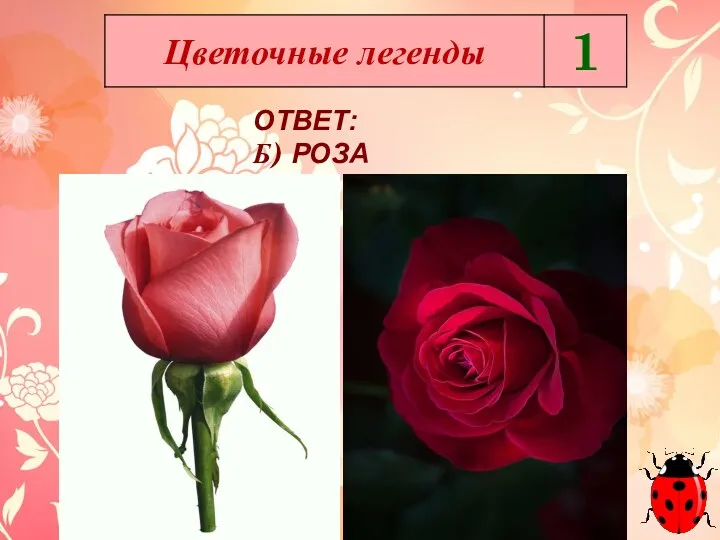 ОТВЕТ: Б) РОЗА