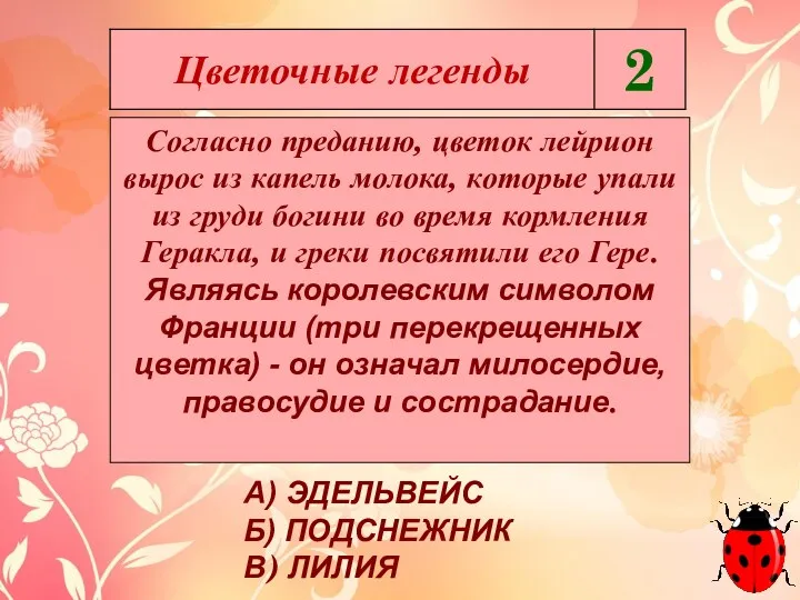 Согласно преданию, цветок лейрион вырос из капель молока, которые упали