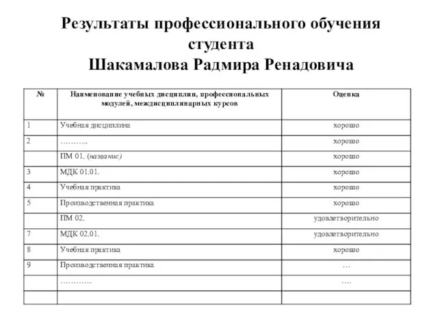 Результаты профессионального обучения студента Шакамалова Радмира Ренадовича