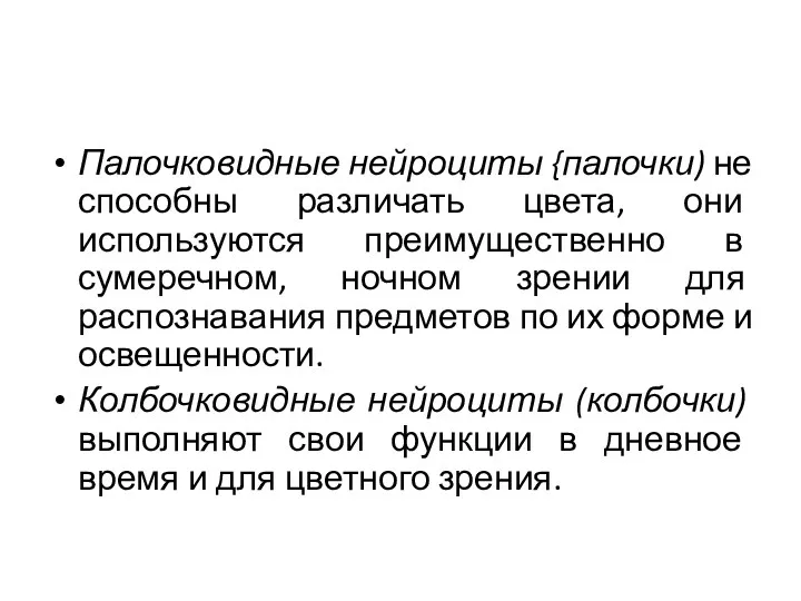 Палочковидные нейроциты {палочки) не способны различать цвета, они используются преимущественно