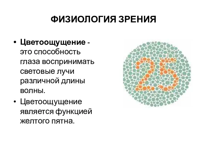 ФИЗИОЛОГИЯ ЗРЕНИЯ Цветоощущение -это способность глаза воспринимать световые лучи различной