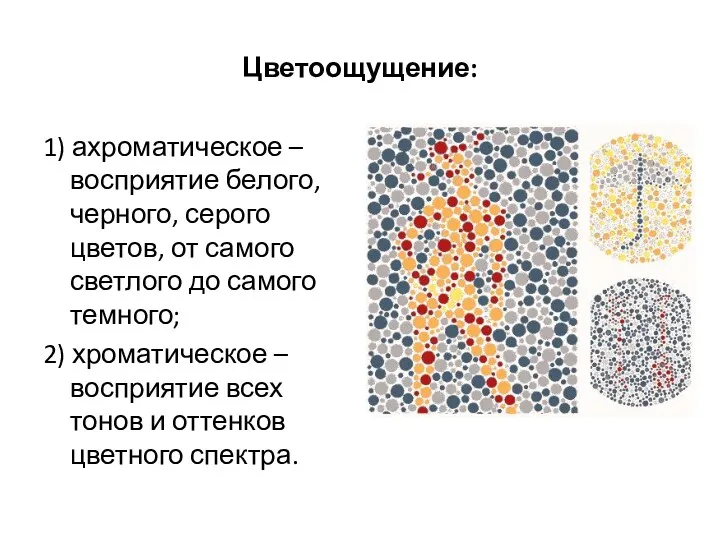 Цветоощущение: 1) ахроматическое – восприятие белого, черного, серого цветов, от