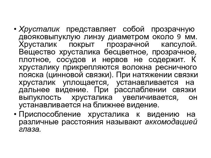 Хрусталик представляет собой прозрачную двояковыпуклую линзу диаметром около 9 мм.