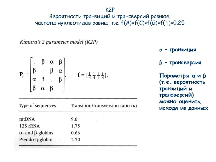 K2P Вероятности транзиций и трансверсий разные, частоты нуклеотидов равны, т.е. f(A)=f(C)=f(G)=f(T)=0.25 α –