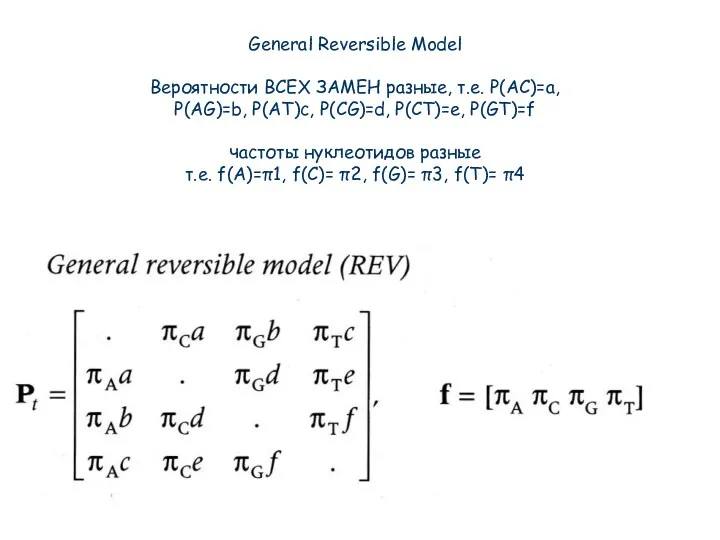 General Reversible Model Вероятности ВСЕХ ЗАМЕН разные, т.е. P(AC)=a, P(AG)=b, P(AT)c, P(CG)=d, P(CT)=e,