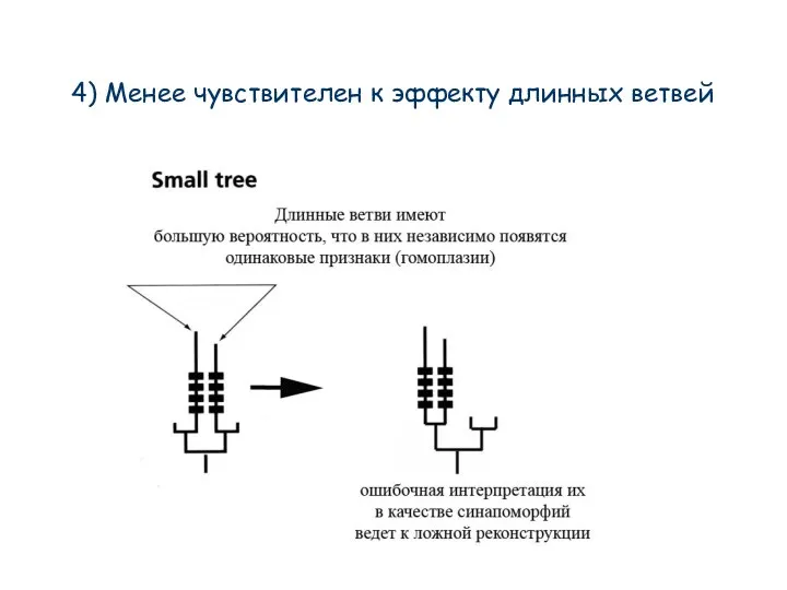 4) Менее чувствителен к эффекту длинных ветвей