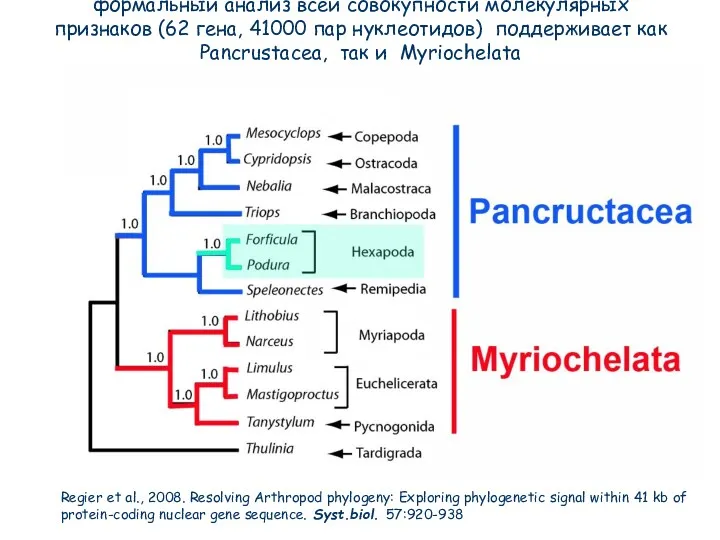Regier et al., 2008. Resolving Arthropod phylogeny: Exploring phylogenetic signal within 41 kb