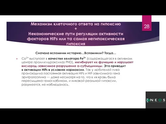 Механизм клеточного ответа на гипоксию + Неканонические пути регуляции активности