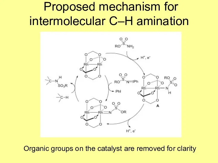 Proposed mechanism for intermolecular C–H amination Organic groups on the catalyst are removed for clarity