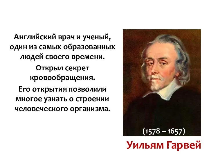 Уильям Гарвей (1578 – 1657) Английский врач и ученый, один из самых образованных