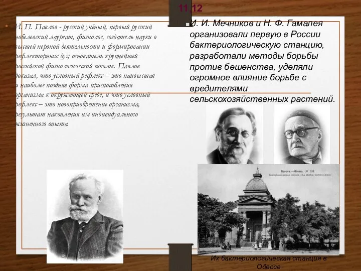 И. П. Павлов - русский учёный, первый русский нобелевский лауреат, физиолог, создатель науки