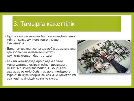 3. Тамырға қажеттілік Бұл қажеттілік анамен биологиялық байланыс үзілген кезде