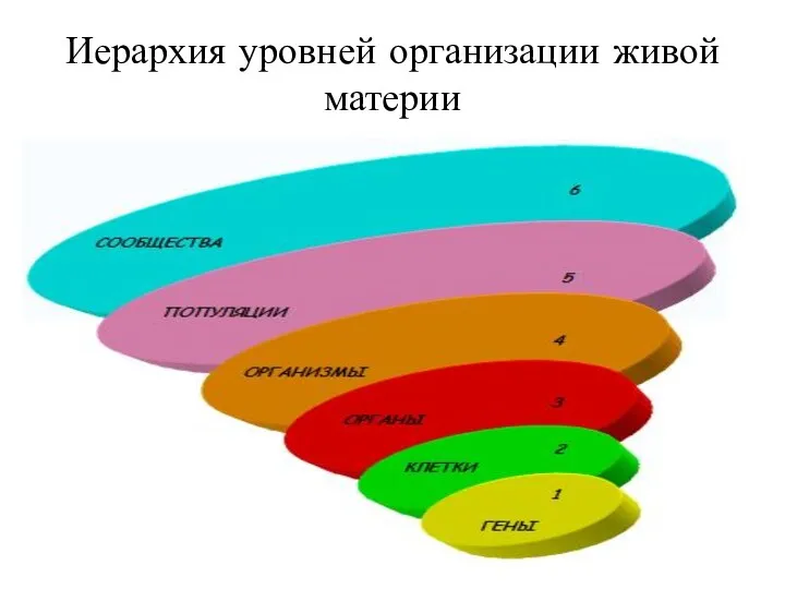 Иерархия уровней организации живой материи