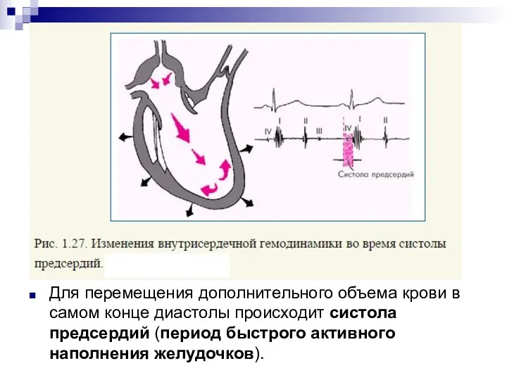 Для перемещения дополнительного объема крови в самом конце диастолы происходит