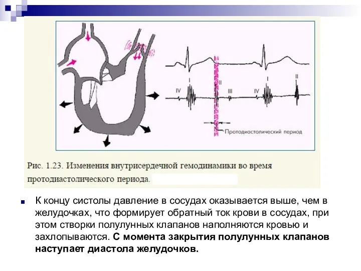 К концу систолы давление в сосудах оказывается выше, чем в