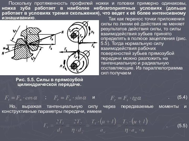 Поскольку протяженность профилей ножки и головки примерно одинаковы, ножка зуба