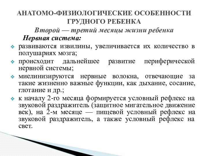 Нервная система: развиваются извилины, увеличивается их количество в полушариях мозга;