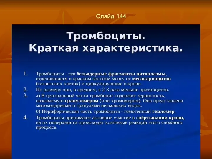 Слайд 144