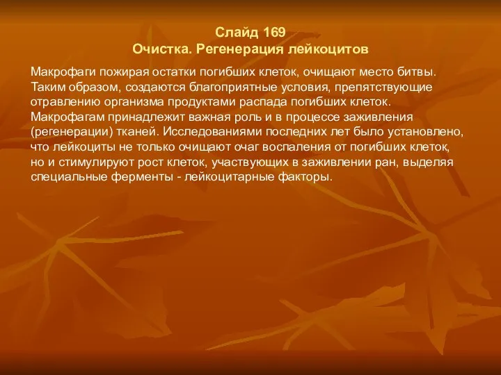 Слайд 169 Очистка. Регенерация лейкоцитов Макрофаги пожирая остатки погибших клеток,