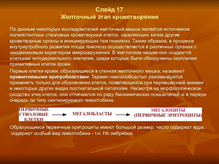 Слайд 17 Желточный этап кроветворения По данным некоторых исследователей желточный