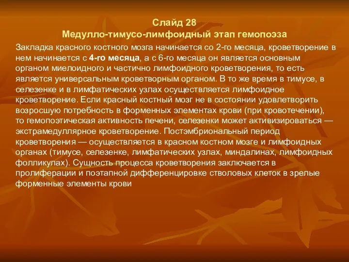 Слайд 28 Медулло-тимусо-лимфоидный этап гемопоэза Закладка красного костного мозга начинается