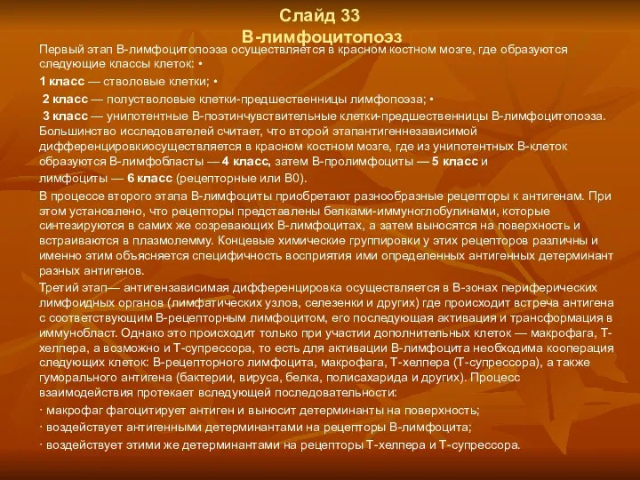 Слайд 33 В-лимфоцитопоэз Первый этап В-лимфоцитопоэза осуществляется в красном костном