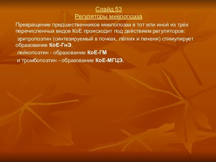 Слайд 53 Регуляторы миелопоэза Превращение предшественников миелопоэза в тот или