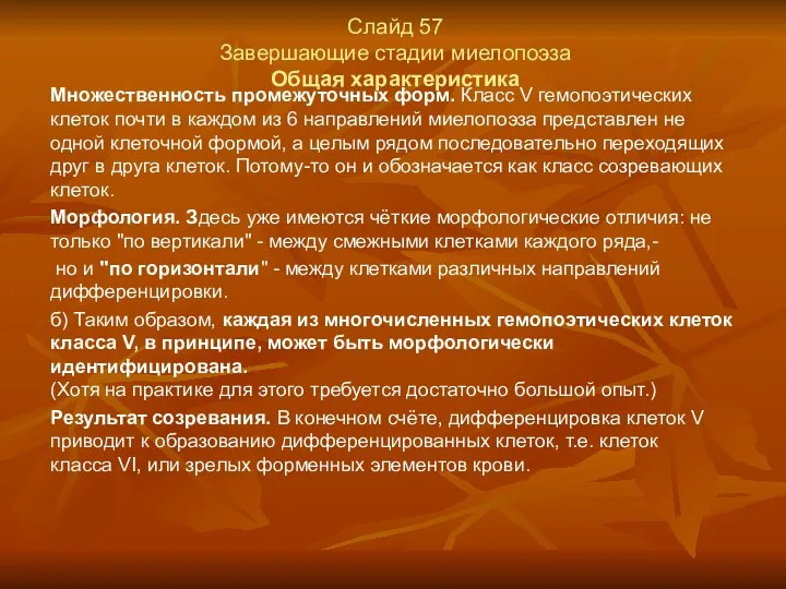 Слайд 57 Завершающие стадии миелопоэза Общая характеристика Множественность промежуточных форм.